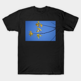 branching out... T-Shirt